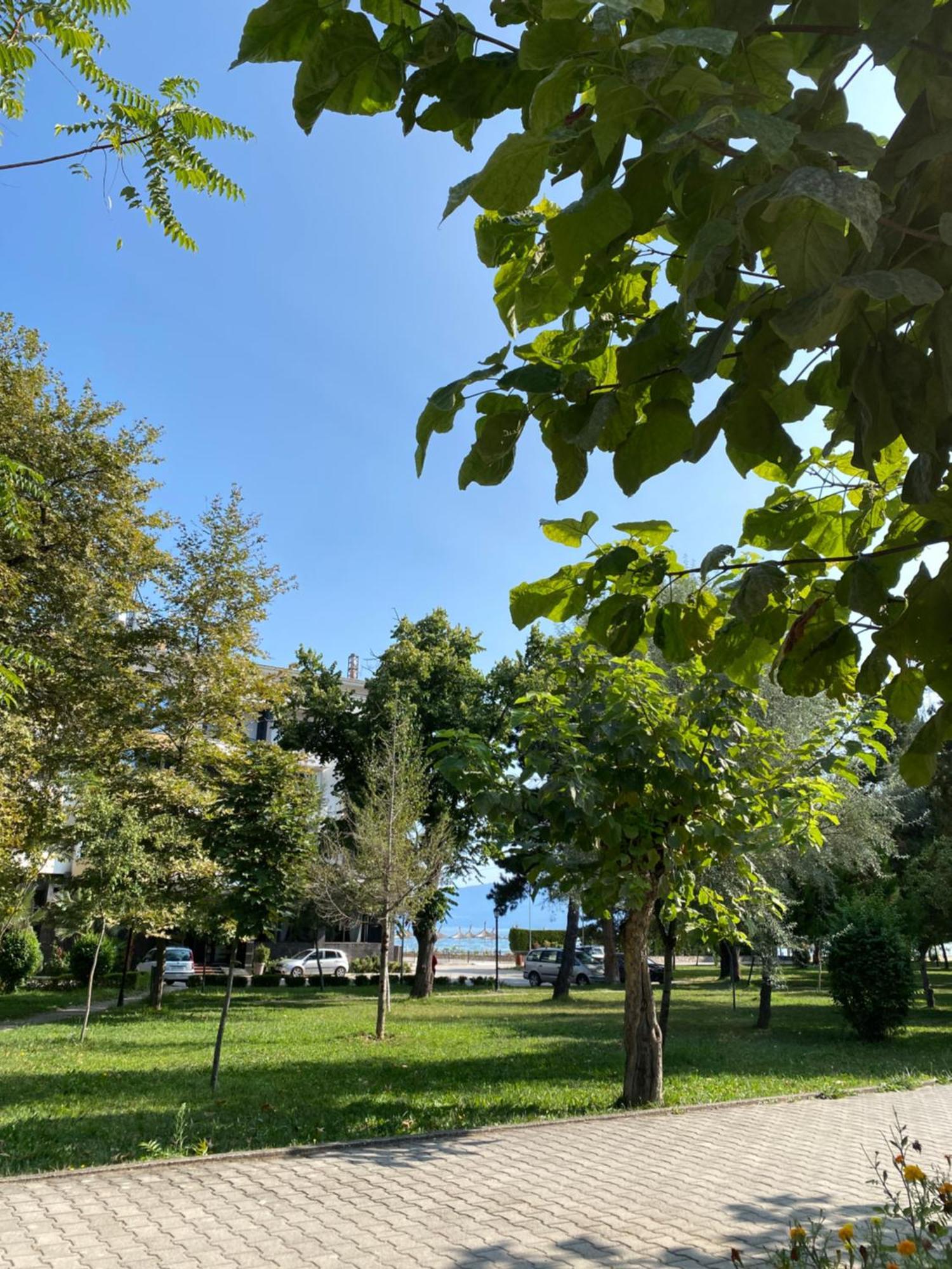 Matilde * Pogradec